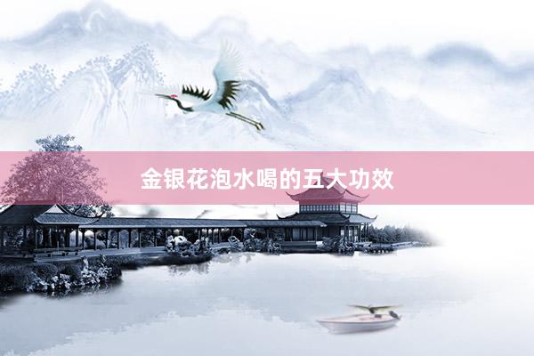 金银花泡水喝的五大功效